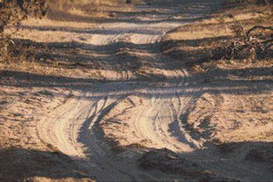 Road Less Traveled - White Willow Stitching