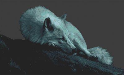 Blue Sentinel: Wolf - White Willow Stitching