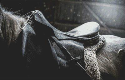 Back In The Saddle - White Willow Stitching