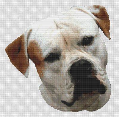 American Bulldog - White Willow Stitching