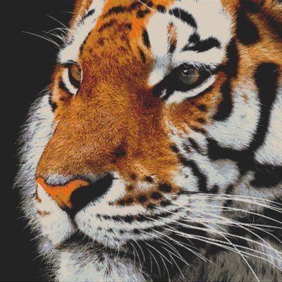 Tiger Portrait - White Willow Stitching