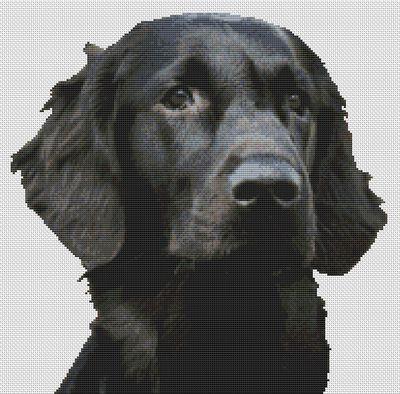 Black Flat Coated Retriever - White Willow Stitching