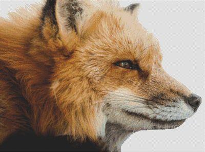 Red Fox - White Willow Stitching