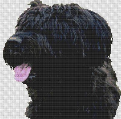 Black Briard - White Willow Stitching