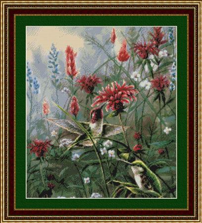 Monardia Hummingbirds - Kustom Krafts