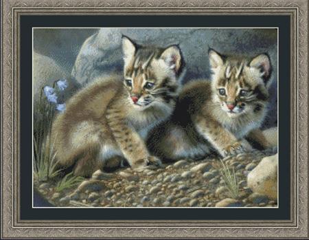 Bobcat Kittens - Kustom Krafts