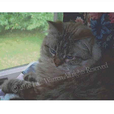 Vivi - PurrCat CrossStitch