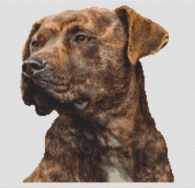 Brindle Pit Bull - White Willow Stitching