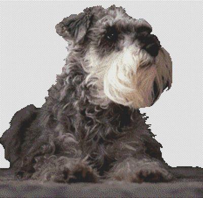 Schnauzer Watching - White Willow Stitching