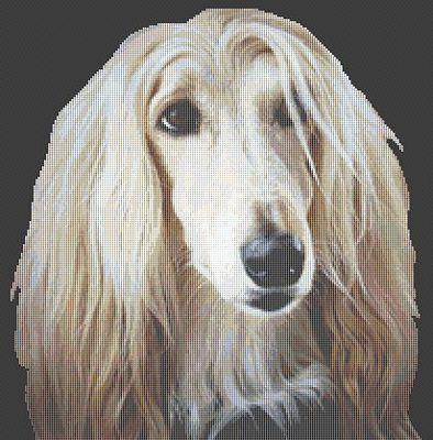Afghan Hound II - White Willow Stitching