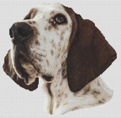 Treeing Walker Coonhound Portrait - White Willow Stitching