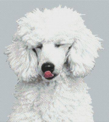 White Poodle Kisses - White Willow Stitching