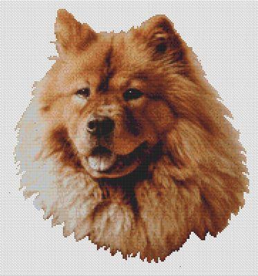 Red Chow Chow - White Willow Stitching