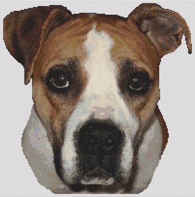 American Bulldog 2 - White Willow Stitching