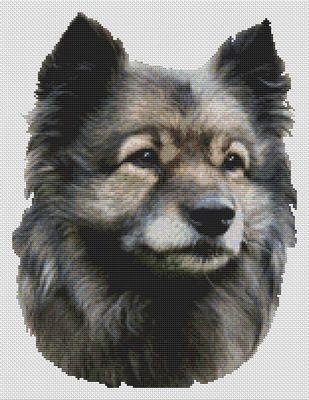 Keeshond - White Willow Stitching