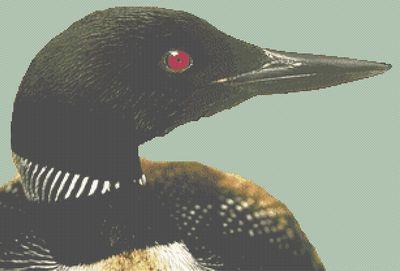 Common Loon - White Willow Stitching