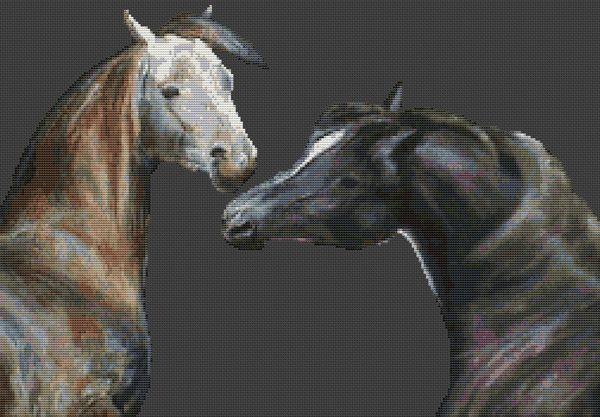 Pair Of Arabians - White Willow Stitching