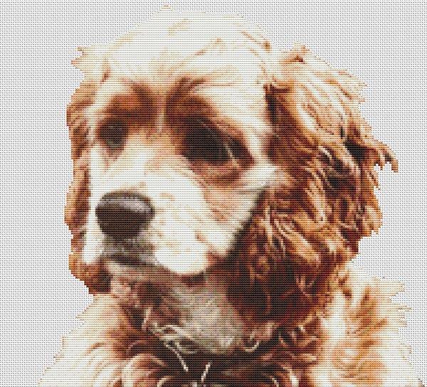 Buff Cocker Spaniel - White Willow Stitching