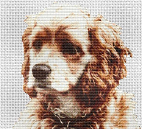 Buff Cocker Spaniel - White Willow Stitching