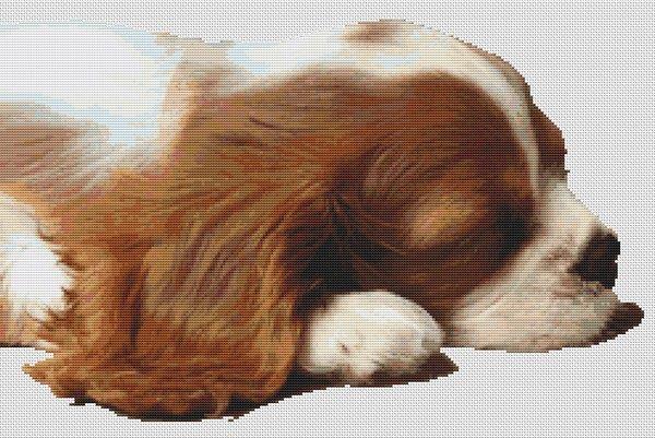 Sleepy Cavalier Pup - White Willow Stitching