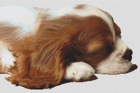 Sleepy Cavalier Pup - White Willow Stitching