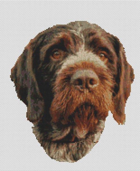 German Wirehaired Pointer - White Willow Stitching