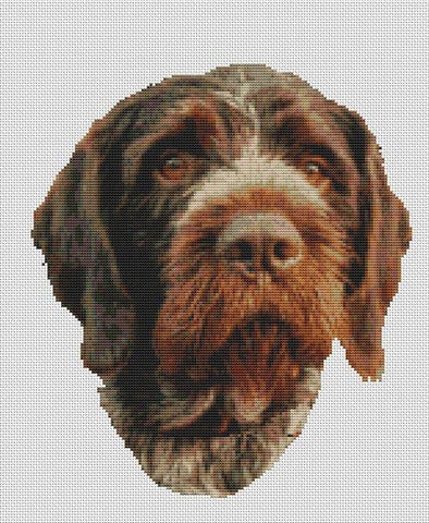 German Wirehaired Pointer - White Willow Stitching