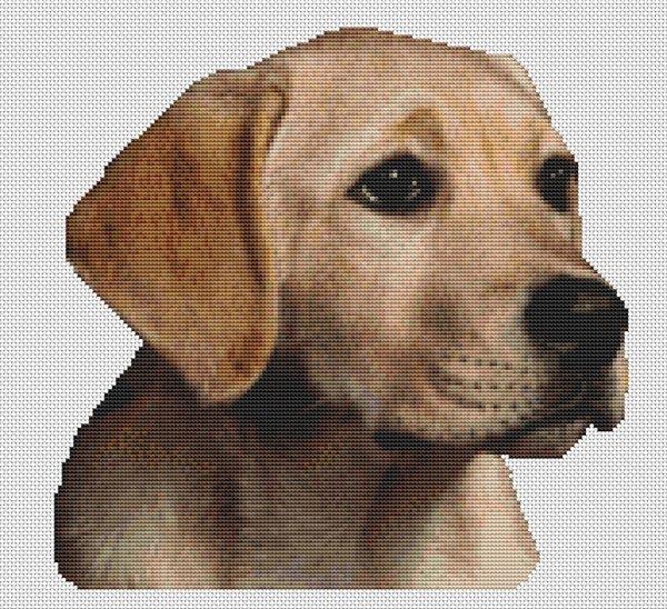 Molly: Yellow Lab Pup - White Willow Stitching