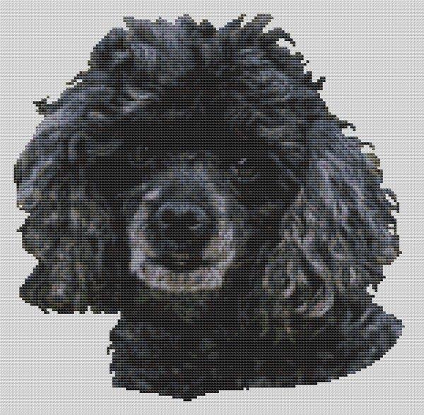 Black Miniature Poodle - White Willow Stitching