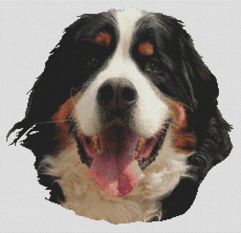 Bernese Mountain Dog - White Willow Stitching