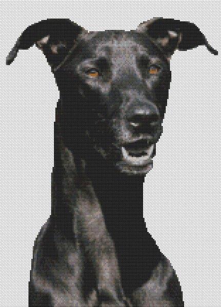 Black Greyhound - White Willow Stitching