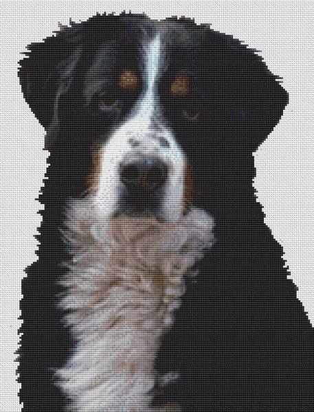 Bernese Mountain Dog 2 - White Willow Stitching