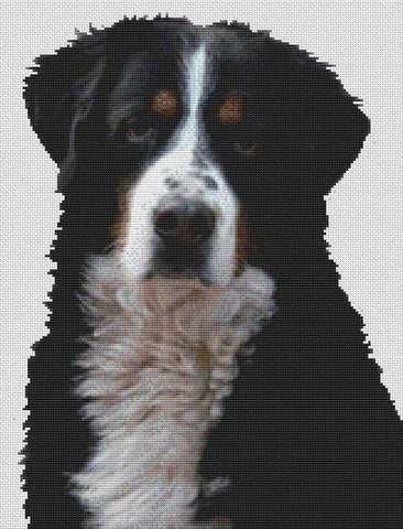 Bernese Mountain Dog 2 - White Willow Stitching