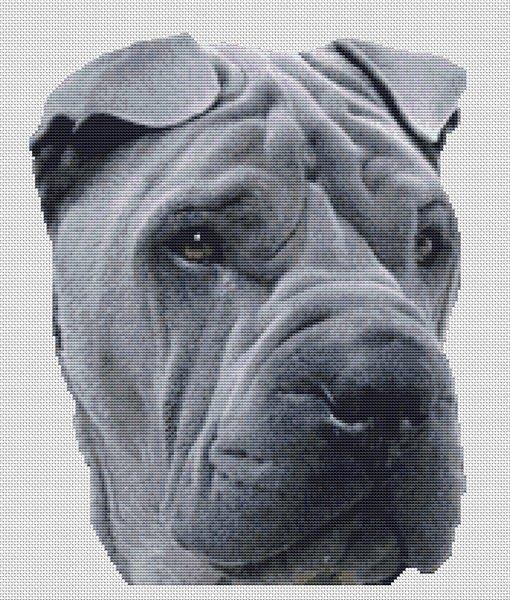 Blue Shar Pei - White Willow Stitching