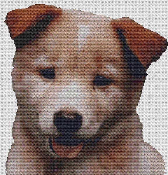 Red Australian Cattle Dog Puppy - White Willow Stitching