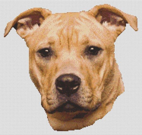 Tan Pit Bull - White Willow Stitching