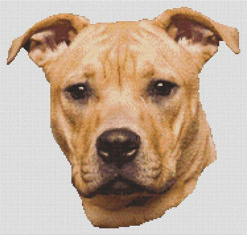 Tan Pit Bull - White Willow Stitching