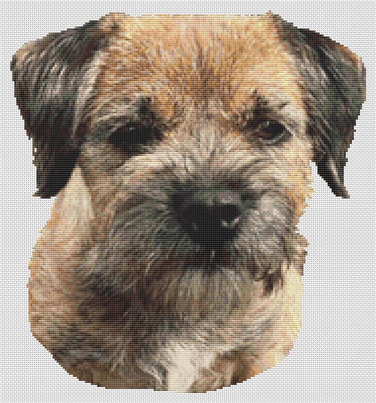Border Terrier 2 - White Willow Stitching