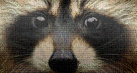 Through The Eye: Raccoon - White Willow Stitching