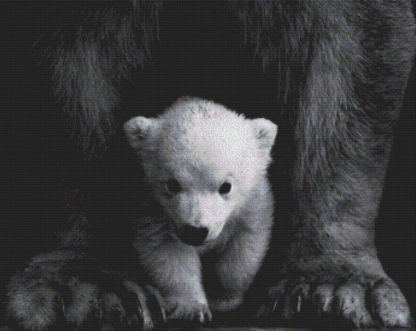 Polar Bear Cub - White Willow Stitching