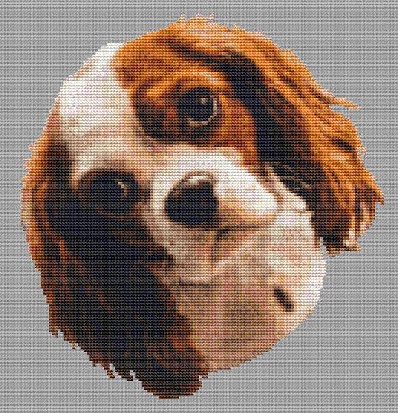 Blenheim Cavalier King Charles Spaniel - White Willow Stitching