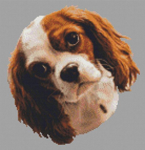 Blenheim Cavalier King Charles Spaniel - White Willow Stitching