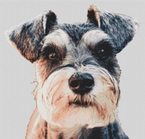 Schnauzer Alert - White Willow Stitching