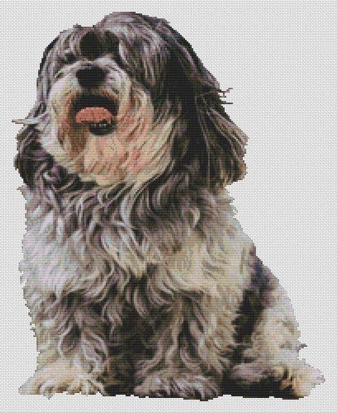 Buddy: Shih Tzu - White Willow Stitching