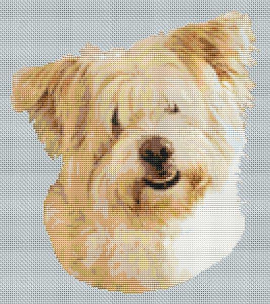 Wheaten Glen Of Imaal Terrier - White Willow Stitching