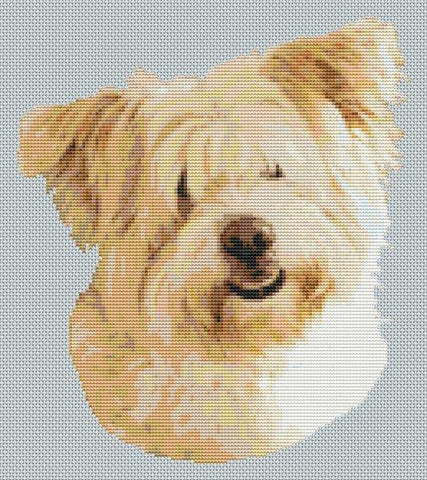 Wheaten Glen Of Imaal Terrier - White Willow Stitching