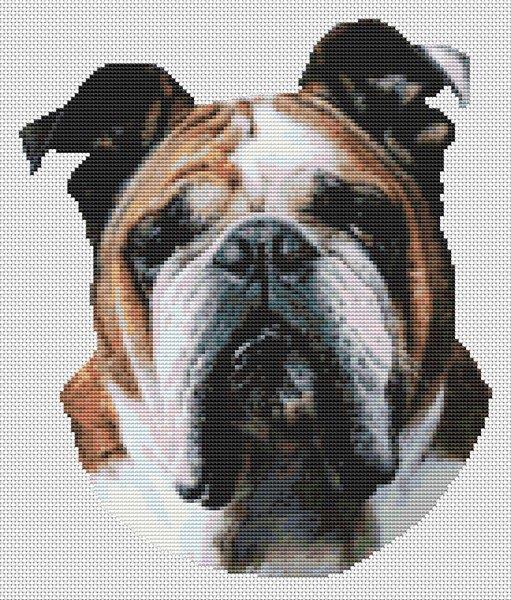 Butch: Bulldog - White Willow Stitching