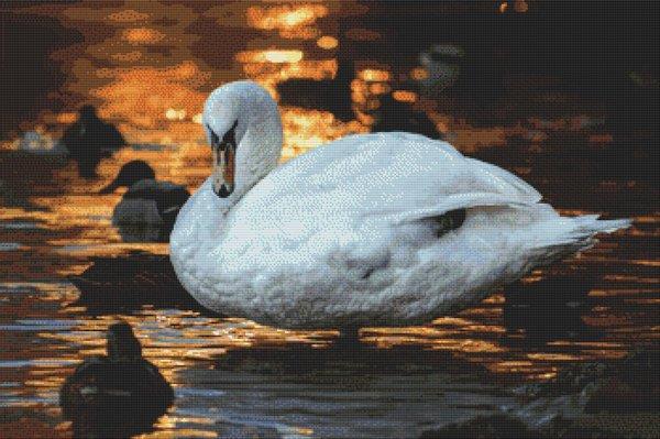 Sunset Swan - White Willow Stitching