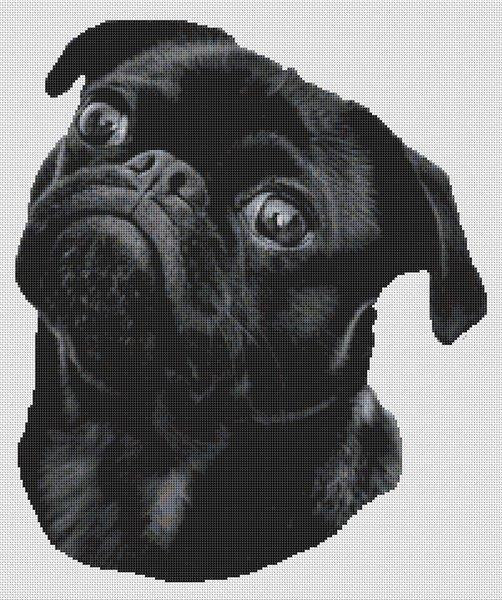Chewy: Black Pug - White Willow Stitching