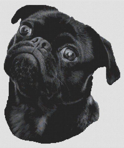 Chewy: Black Pug - White Willow Stitching